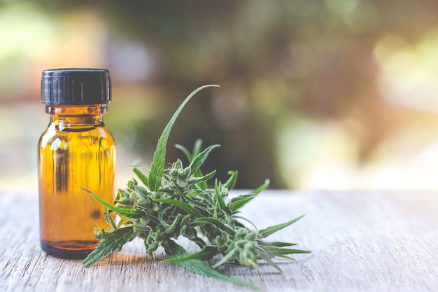 Olio di cannabis, estratto di cannabis olio di CBD, concetto di cannabis medica.