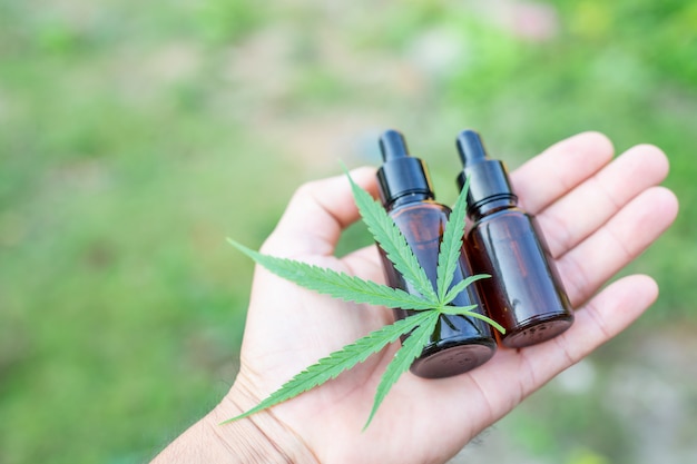 Olio di cannabis, estratto di cannabis olio di CBD, concetto di cannabis medica.