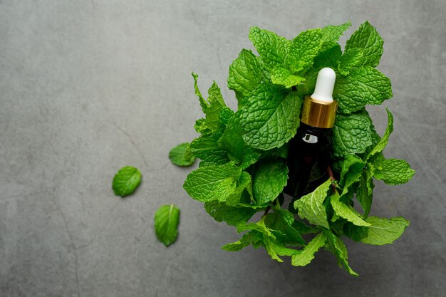 Olio essenziale di menta piperita in bottiglia con menta piperita verde fresca