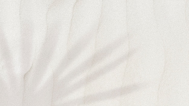 Ombra della foglia di palma su un fondo strutturato della sabbia con lo spazio della copia