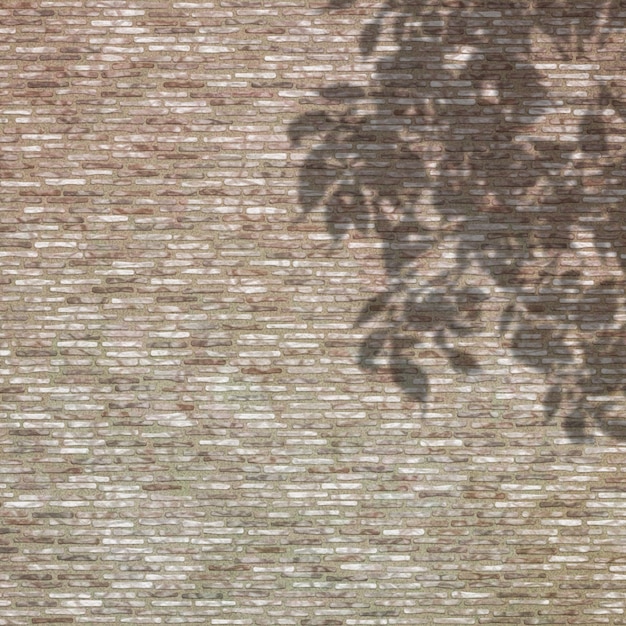 Ombra di foglie contro un muro di mattoni
