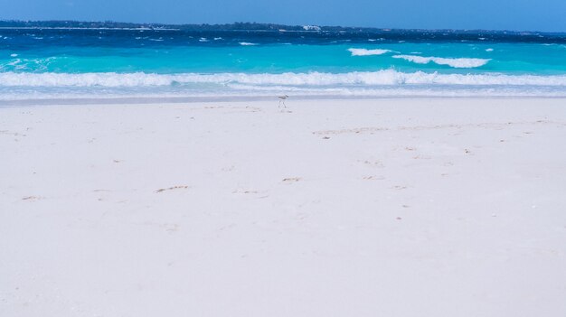 Onde di acqua blu sulla riva di un oceano