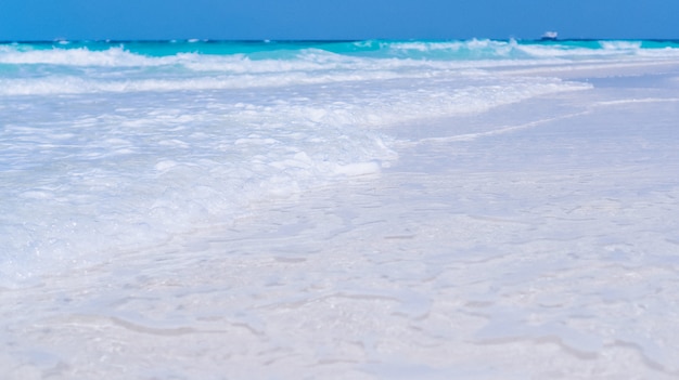 Onde di acqua blu sulla riva di un oceano