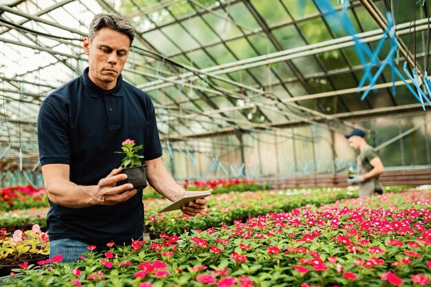 Operatore di vivai che utilizza il touchpad durante il controllo della qualità dei fiori prima della distribuzione