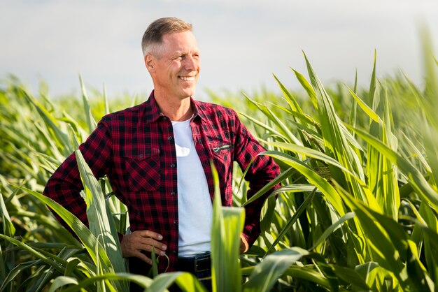 Orgoglioso agronomo in campo di grano