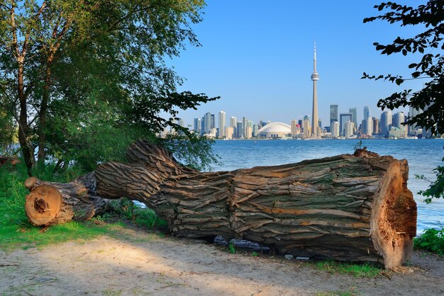 Orizzonte di Toronto dal parco