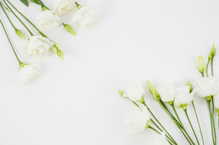 Foto gratuito ornamenti floreali