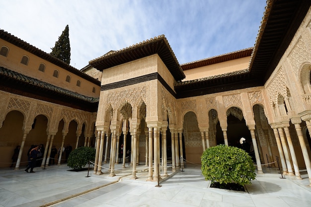 Ottima vista del cortile dei leoni