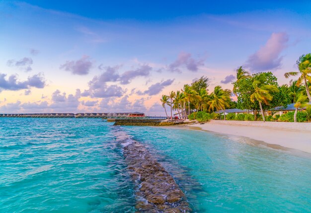 Paesaggi di lusso del paesaggio di sole del sole di Maldive