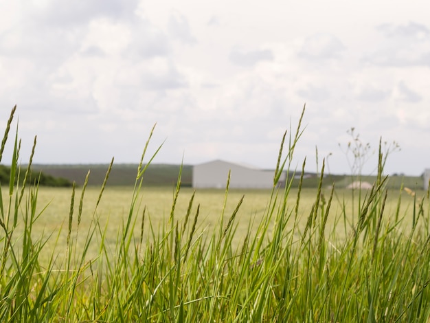 Paesaggio a campo lungo con una casa sfocata