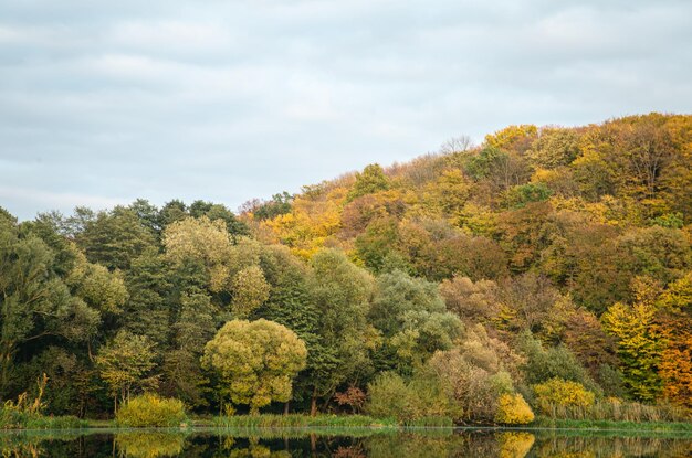 Paesaggio autunnale con una foresta su uno sfondo naturale del lago