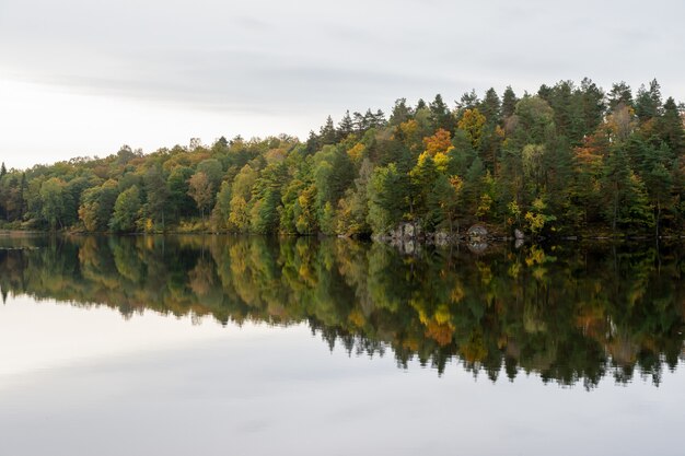 Paesaggio autunnale da un lago, alberi con colori autunnali.