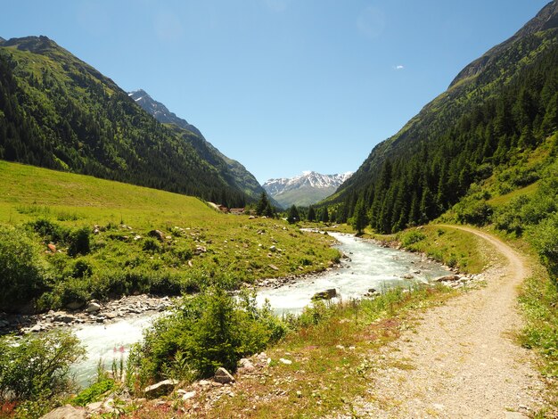 Paesaggio colpo del parco naturale adamello brenta strembo italia in un cielo blu chiaro