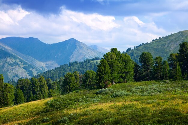 Paesaggio con le montagne della foresta