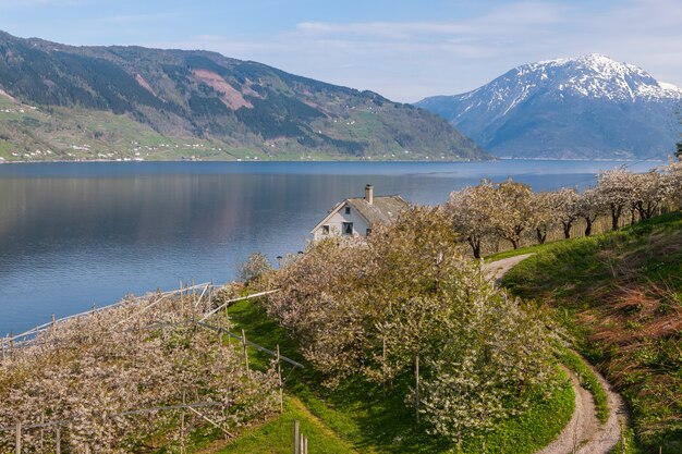 Paesaggio con montagne. villaggio nei fiordi norvegesi