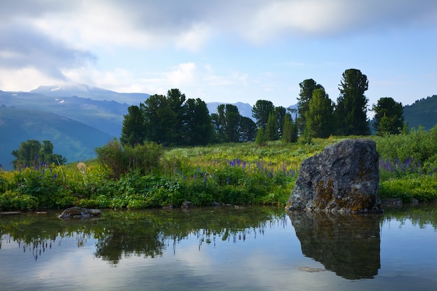 Paesaggio cupo