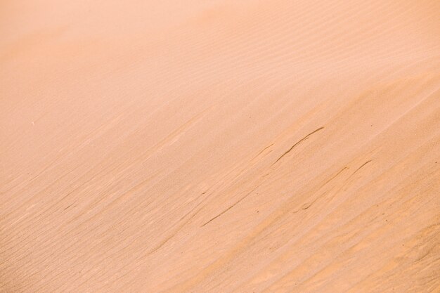 Paesaggio del deserto in Marocco