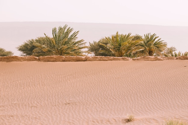 Paesaggio del deserto in Marocco