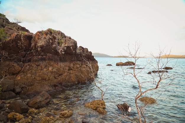 Paesaggio del mare circondato da rocce e vegetazione sotto un cielo nuvoloso