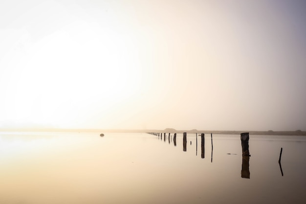 Paesaggio del mare con assi di legno di un bacino incompiuto in esso sotto la luce del sole