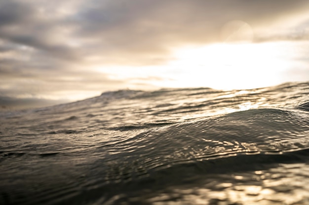 Paesaggio del mare con il primo piano dell'onda