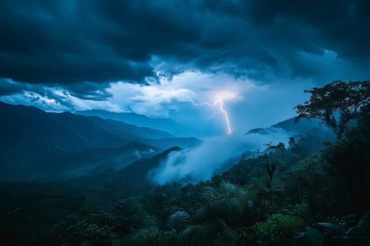 Foto gratuito paesaggio della foresta nuvolosa durante la tempesta
