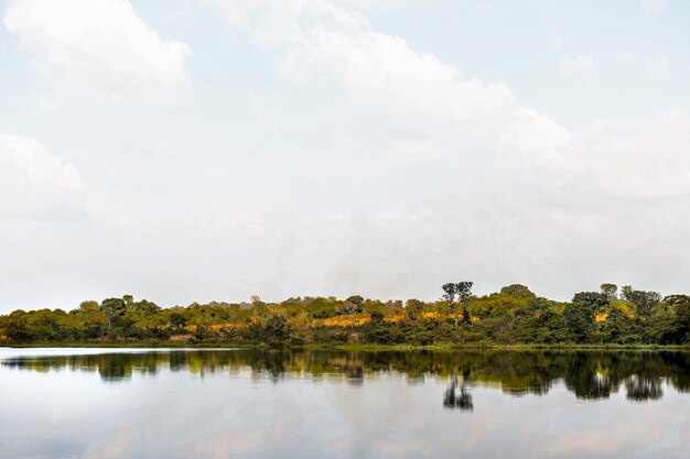 Paesaggio della natura africana con il lago