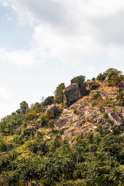 Paesaggio della natura africana con la montagna