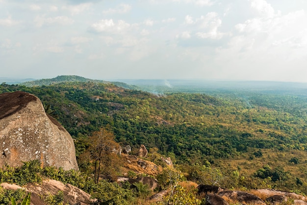 Paesaggio della natura africana con vegetazione e alberi