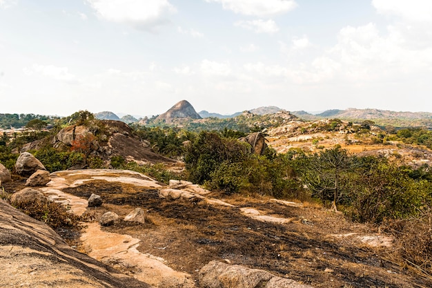 Paesaggio della natura africana con vegetazione e terreno