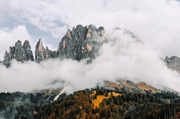 Paesaggio delle rocce circondato dalle foreste coperte nella nebbia sotto un cielo nuvoloso