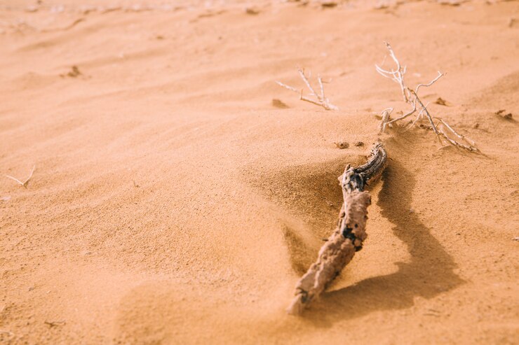 Foto gratuito paesaggio desertico