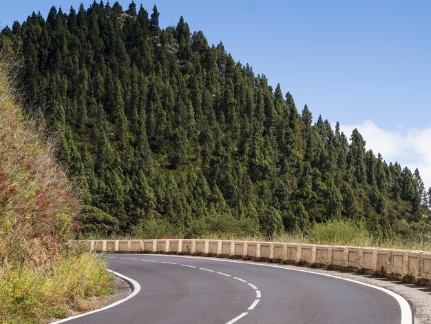 Paesaggio di alberi con autostrada senza pedaggio