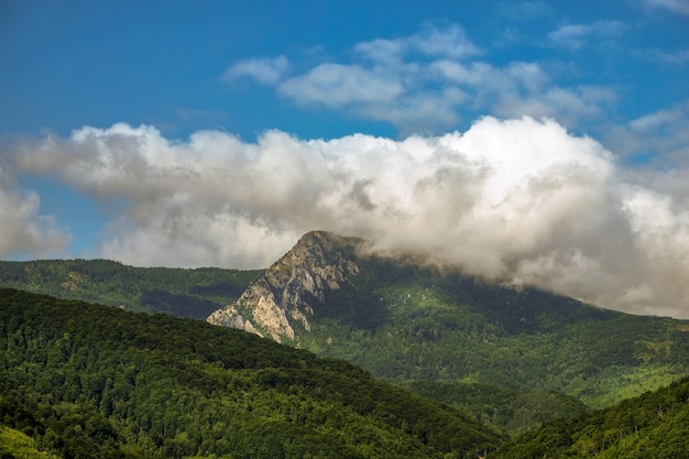 Paesaggio di colline coperte di boschi sotto la luce del sole e un cielo nuvoloso