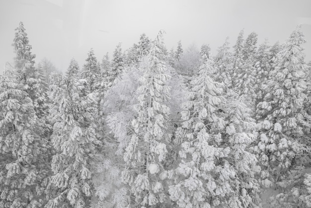 paesaggio di ghiaccio cielo copertina di montagna