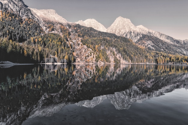 Paesaggio di montagna e alberi