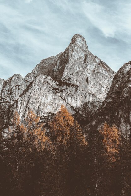 Paesaggio di montagna grigia