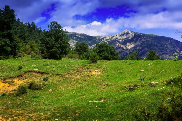 paesaggio di montagne sotto il cielo nuvoloso