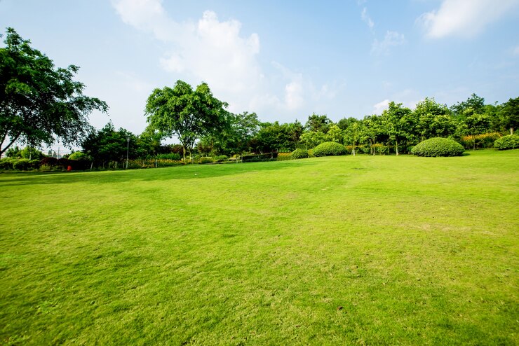 Foto gratuito paesaggio di praterie e ambiente verde background del parco