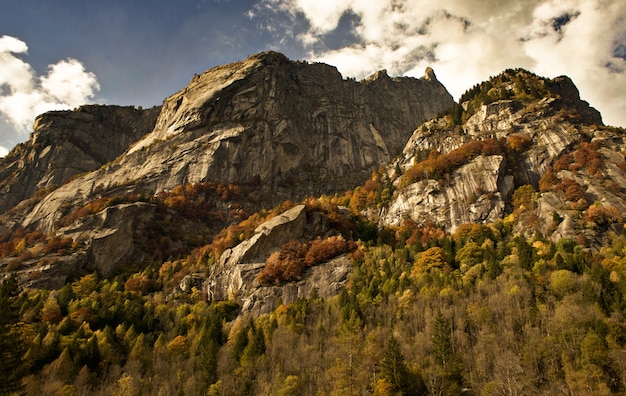 Paesaggio di rocce coperte di alberi sotto la luce del sole e un cielo nuvoloso durante il tramonto