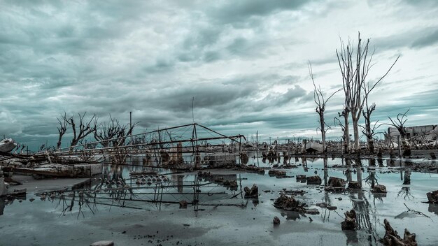 Paesaggio di rovine di edifici e alberi spogli nell'acqua sotto un cielo nuvoloso in una giornata uggiosa