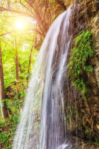 Paesaggio di scena cinese viaggio foresta nove