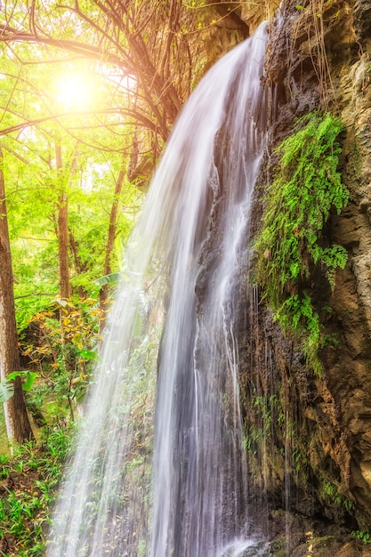 Paesaggio di scena cinese viaggio foresta nove