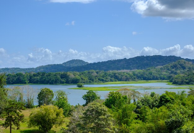 Paesaggio di un lago circondato da colline ricoperte di vegetazione sotto un cielo blu durante il giorno