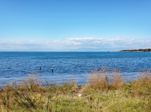 Paesaggio di un prato circondato dal mare sotto la luce del sole