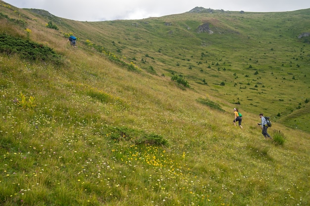 Paesaggio di una collina ricoperta di vegetazione con escursionisti che lo scalano sotto un cielo nuvoloso