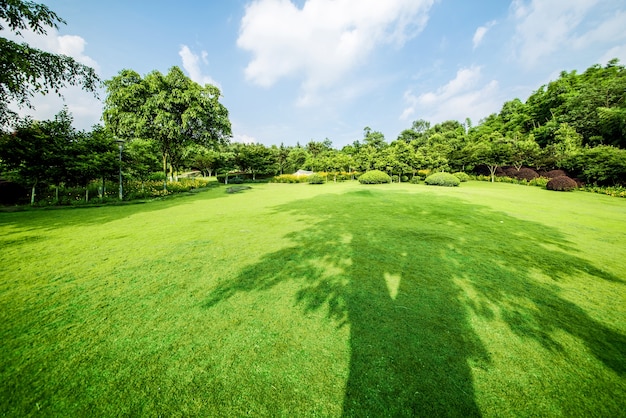 Paesaggio erboso e verde ambiente sfondo parco