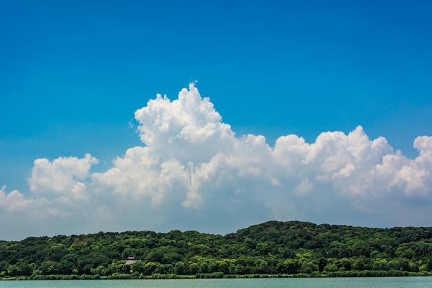 paesaggio estivo con lago a giornata di sole