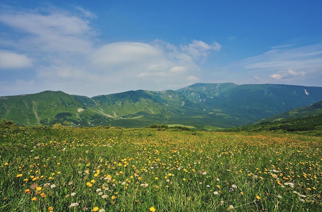 Paesaggio estivo in montagna e il cielo blu scuro