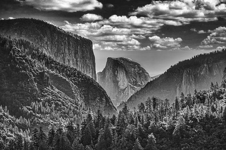 Foto gratuito paesaggio in scala di grigi di rocce ricoperte di vegetazione sotto un cielo nuvoloso nel parco nazionale di yosemite